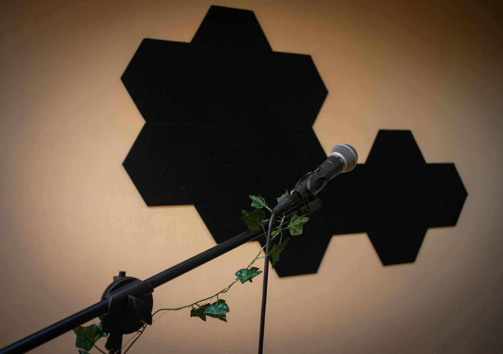 portfolio_page.portfolio_titles.project_musical_shool - Fotograf Alexandra Bondarenko - Portfolio - /98_client_files/project_musical_shool/0001.webp