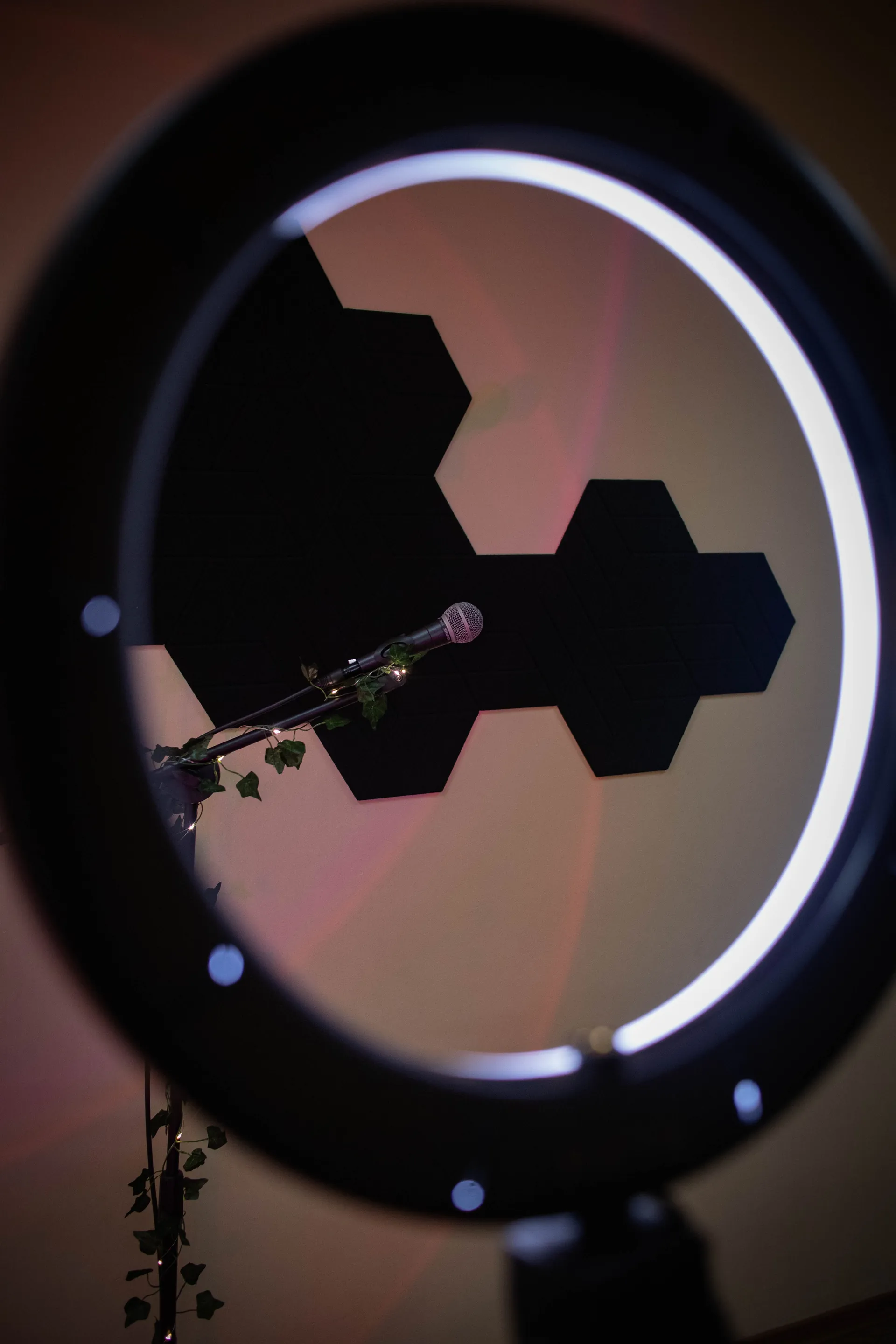 portfolio_page.portfolio_titles.project_musical_shool - Fotograf Alexandra Bondarenko - Portfolio - /98_client_files/project_musical_shool/0013.webp