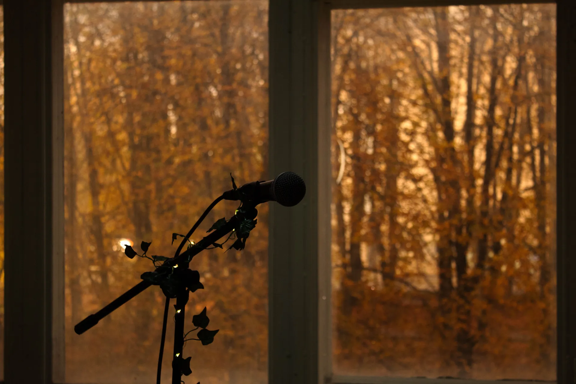 portfolio_page.portfolio_titles.project_musical_shool - Fotograf Alexandra Bondarenko - Portfolio - /98_client_files/project_musical_shool/0014.webp